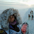 Dogsled