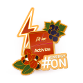 Pin Activize